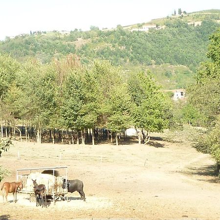 הוילה Monastero Bormida Il Grappolo In Langa מראה חיצוני תמונה